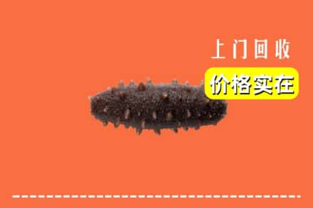 江油市回收海参