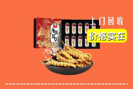 江油市回收虫草