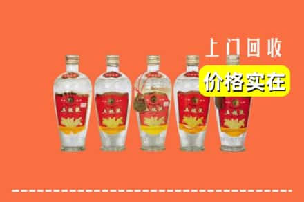 江油市回收老五粮液